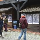 zdjęcie nr 96