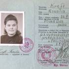 zdjęcie nr 13