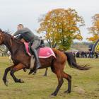 zdjęcie nr 84