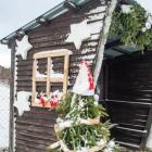 zdjęcie nr 35