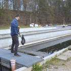 Fotka nr 5 z 11
