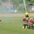 zdjęcie nr 158