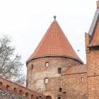 zdjęcie nr 11