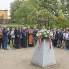 zdjęcie nr 10