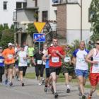 zdjęcie nr 43
