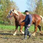 zdjęcie nr 11