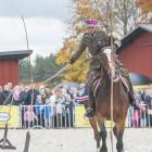 zdjęcie nr 19