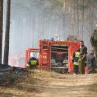zdjęcie nr 16