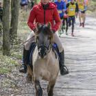 zdjęcie nr 155