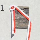 zdjęcie nr 16