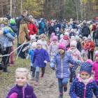 zdjęcie nr 284