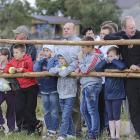 zdjęcie nr 35