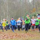 zdjęcie nr 18