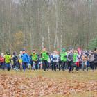 zdjęcie nr 17