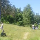 zdjęcie nr 36