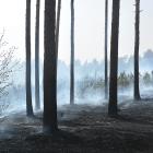 zdjęcie nr 14