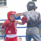zdjęcie nr 11