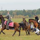 zdjęcie nr 90