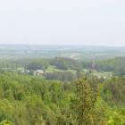 zdjęcie nr 41