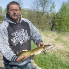zdjęcie nr 35