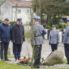 zdjęcie nr 31