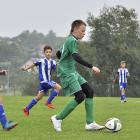 zdjęcie nr 15