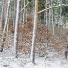 zdjęcie nr 12