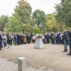 zdjęcie nr 12