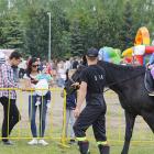 zdjęcie nr 28
