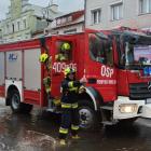 Fotka nr 2 z 21