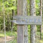 zdjęcie nr 31