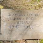 zdjęcie nr 37