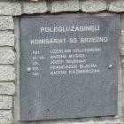zdjęcie nr 38