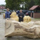 zdjęcie nr 24