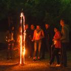 zdjęcie nr 26