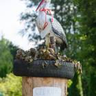 zdjęcie nr 85