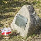 zdjęcie nr 29