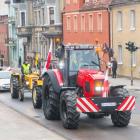 zdjęcie nr 42