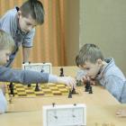 zdjęcie nr 22
