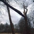 Foto. OSP Kołczygłowy
