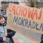zdjęcie nr 12