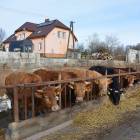 zdjęcie nr 50
