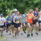 zdjęcie nr 24