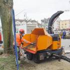 zdjęcie nr 7