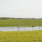 Fotka nr 5 z 19