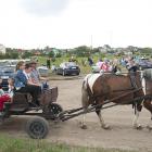 zdjęcie nr 50