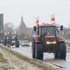 zdjęcie nr 16