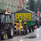 Fotka nr 3 z 18