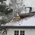 zdjęcie nr 14