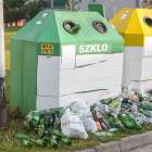 zdjęcie nr 8